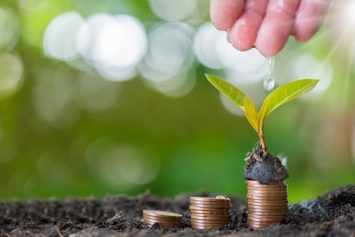 Investimento em Compensação Ambiental gerando frutos